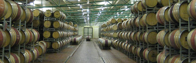 Weinkeller in Stellenbosch